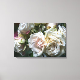 Impressão em Tela Rosas Brancas em Flor Fotografia