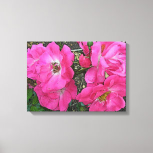 Impressão Em Tela Rosas cor-de-rosa de escalada antiquados -