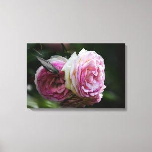 Impressão em Tela Rosas Cor-de-Rosa - Dueto Enrube