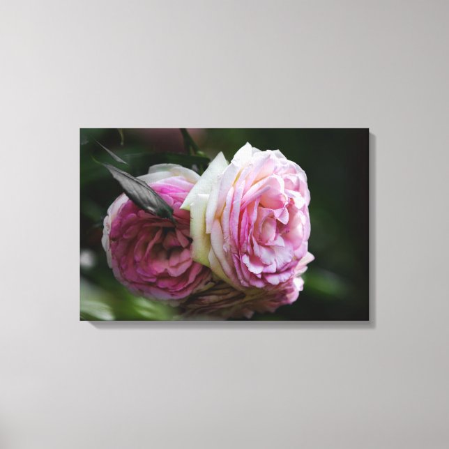 Impressão em Tela Rosas Cor-de-Rosa - Dueto Enrube (Frente)