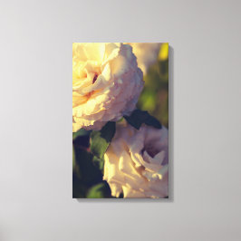 Impressão Em Tela Rosas em um jardim