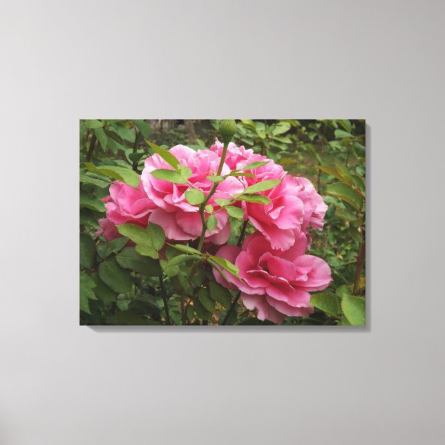 Impressão Em Tela Rosas Rosa (Frente)