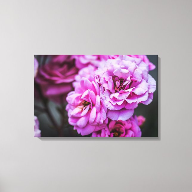 Impressão em tela Rosas Rosa Suave  (Frente)