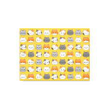 Rosto de Gato Laranja Cinto