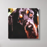Rottweiler Portait Artístico Pet