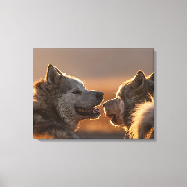 Impressão Em Tela Roucos Cães Fotografia (Frente)