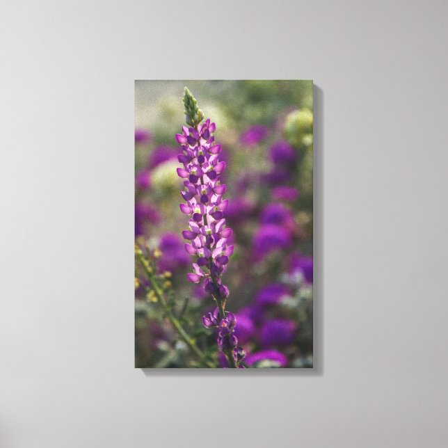 Impressão Em Tela Roxo (Frente)