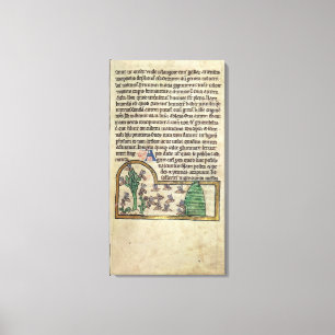 Impressão Em Tela Roy Page do texto com ilustração de