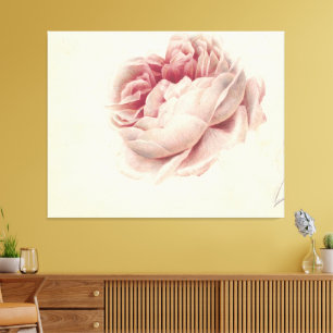 Impressão Em Tela Roze Roos (1792) – Arte Botânica Antiga Atemporal