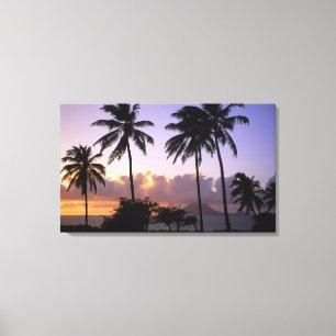 Impressão Em Tela Rua costeira. Gatinhos