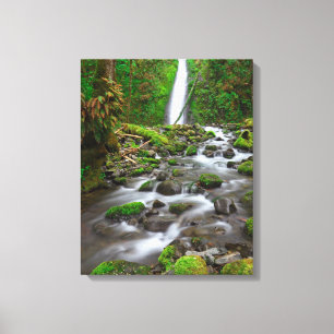 Impressão Em Tela Ruckel Creek Falls, Desfiladeiro do Rio Columbia O
