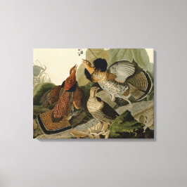 Impressão Em Tela Ruffed Grouse de John Audubon