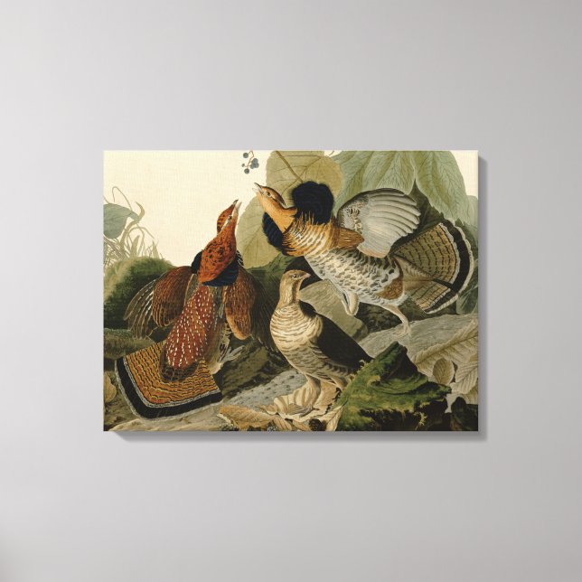 Impressão Em Tela Ruffed Grouse de John Audubon (Frente)