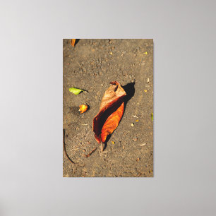 Impressão Em Tela Rustic Dried Autumn Leaf on Textured Ground