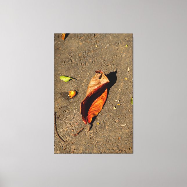 Impressão Em Tela Rustic Dried Autumn Leaf on Textured Ground (Frente)