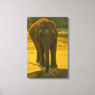 Impressão Em Tela Sabedoria do Elefante ouro - Vida Selvagem Majesto