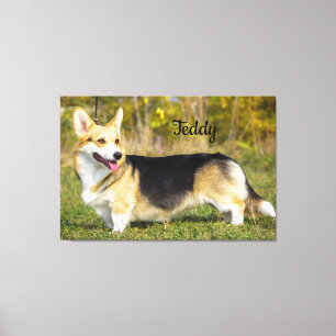 Impressão Em Tela Sable Cardigan Welsh Corgi Dog