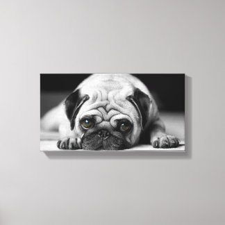 Impressão Em Tela Sad Pug