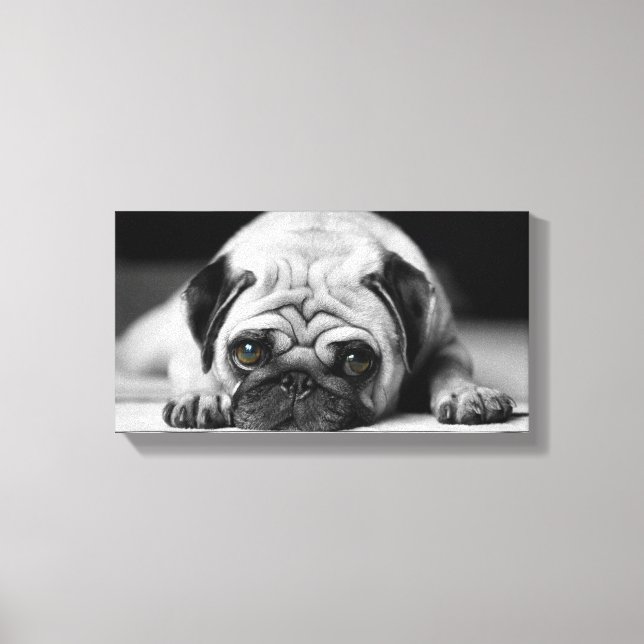 Impressão Em Tela Sad Pug (Frente)