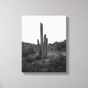 Impressão Em Tela Saguaro Cactus Preto e Branco 11x14