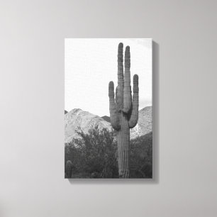 Impressão Em Tela Saguaro Cactus Sonoran Desert B&W Fotografias Impr