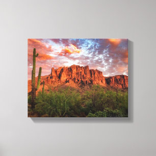 Impressão Em Tela Saguaro Cactus Superstition Mountain Sunset 14x11