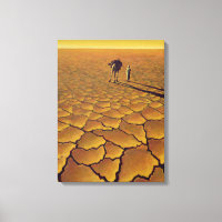 Saharan Journey 1995