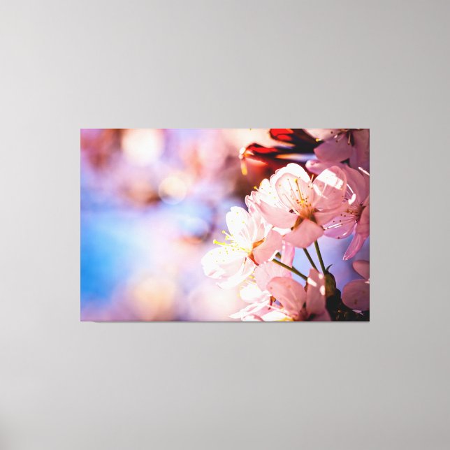 Impressão Em Tela Sakura Blossoms Em Um Dia Úmido (Frente)