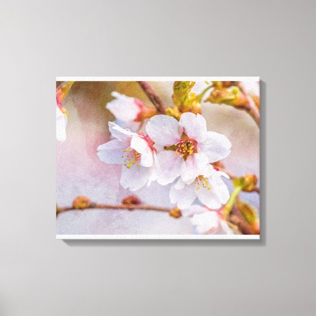 Impressão Em Tela Sakura - Flor de Cereja Japonês (Frente)