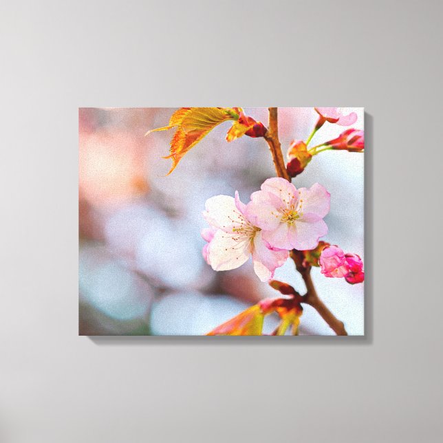 Impressão Em Tela Sakura rosa contra o fundo cinzento (Frente)