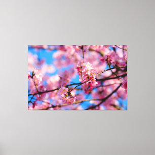 Impressão Em Tela Sakura Rosa Incrível E Céu Azul De Primavera