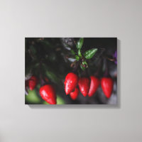 Salsa Chili Peppers Red Hot Garden