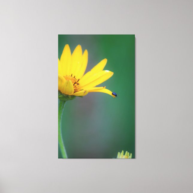 Impressão Em Tela Salto de fé (Frente)