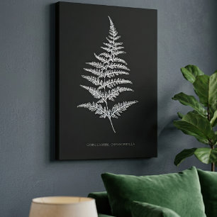 Impressão Em Tela Samambaia Dourada, Gymnogramma Chrysophylla