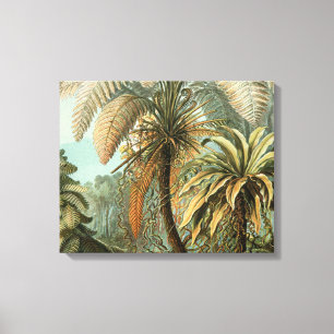 Impressão Em Tela Samambaia Palmeira Antiga Arte Botânica de Samamba