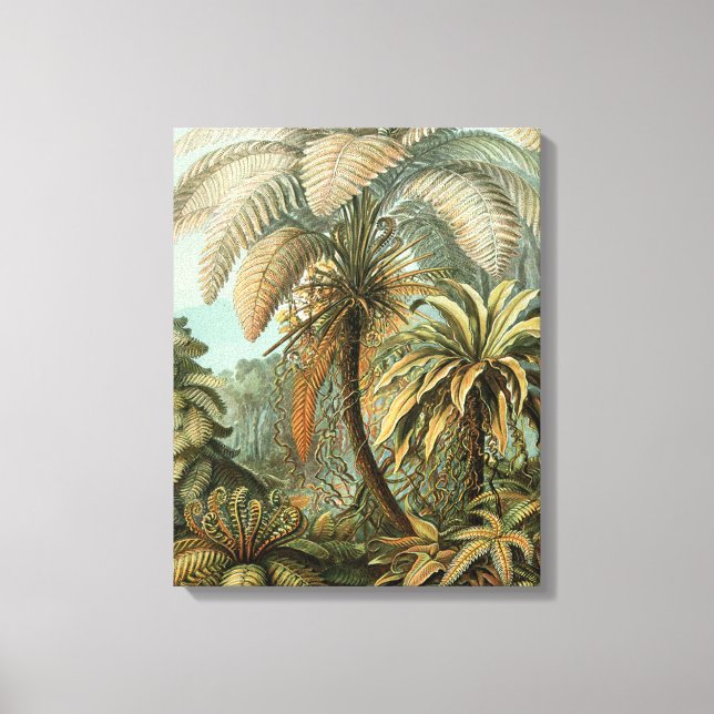 Impressão Em Tela Samambaia Palmeira Antiga Arte Botânica de Samamba (Frente)