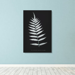Impressão Em Tela Samambaia - Polypodyum Fraxinifolium - efeito de R