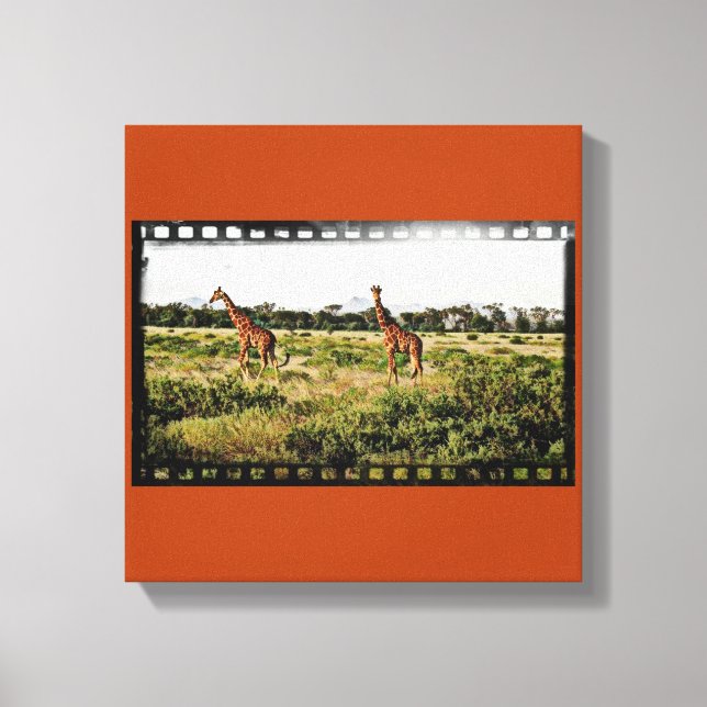 Impressão Em Tela Samburu Girafas (Frente)