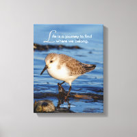 Sanderling motivacional "Life is a Journey"