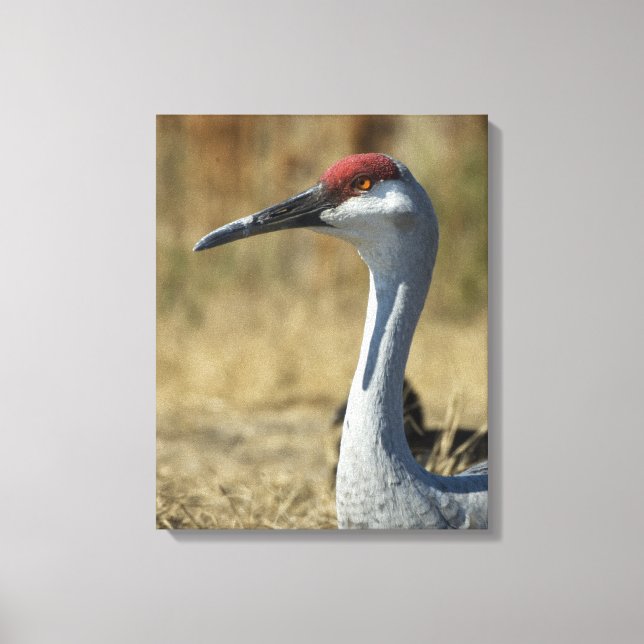Impressão Em Tela Sandhill Crane (Frente)