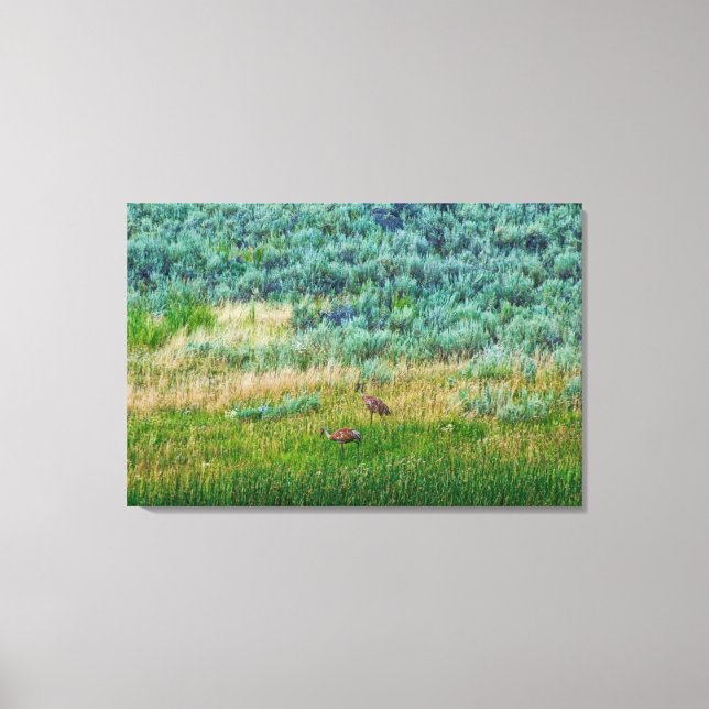 Impressão Em Tela Sandhill Cranes (Frente)