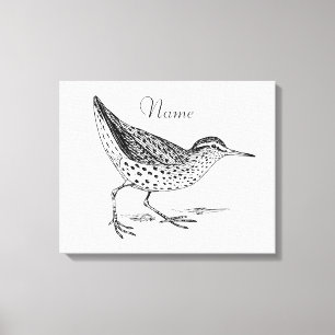 Impressão Em Tela Sandpiper Shorebird Thunder_Cove