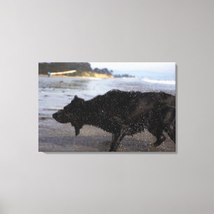 Impressão Em Tela Santa Barbara, Califórnia, EUA 2