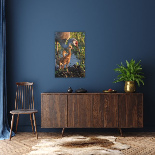 Impressão Em Tela Santuário com pintinhos, Flórida (Criador carregado)