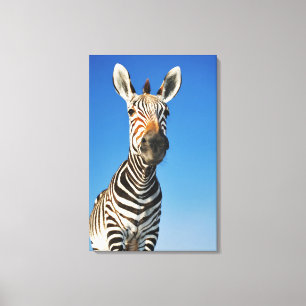 Impressão Em Tela Santuário de animais selvagens de Harnas, Namíbi