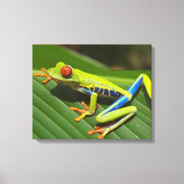 Impressão Em Tela Sapo Colorida