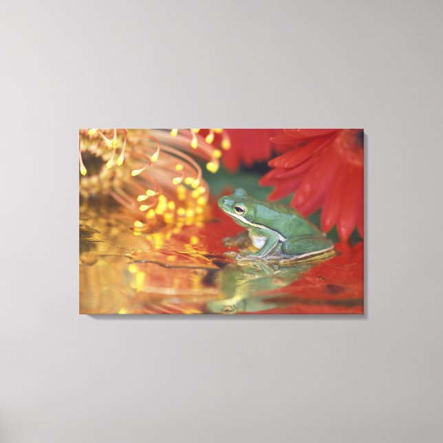 Impressão Em Tela Sapo e reflexos entre flores. Crédito como: (Frente)