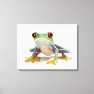 Impressão Em Tela Sapo fêmea 2