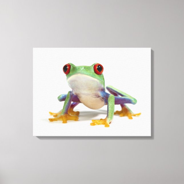 Impressão Em Tela Sapo feminino 2 (Frente)