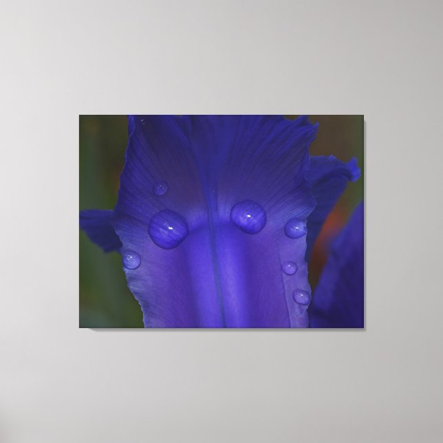 Impressão Em Tela Sapphire Serenity  (Frente)